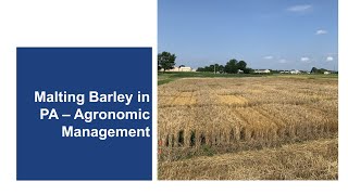 Malting Barley in PA: Agronomic Management