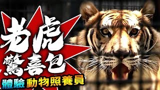 【★ 製作肉食動物驚喜包!!猛獸零距離接觸!! ★】體驗動物保育員的照養工作(2) PTRC Wildlife shelter