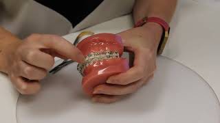 Box elastics
