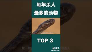 每年杀人最多的动物top3