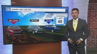 Wet leaves feel like ice for drivers and increase stopping distance