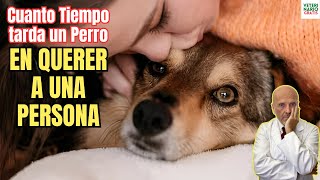 🐶 ¿CUANTO TIEMPO TARDA UN PERRO EN QUERER A UNA PERSONA? 🐶