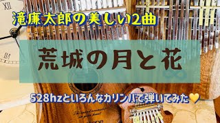 ゆっくりなので初心者の方にも簡単🌟しっとり悲しげな荒城の月、花を弾いてみた🌟ワントーンの17音コア材カリンバと小鳥のミニカリンバ💛loopカリンバでカリンバセラピー💛眠りのおともに💤