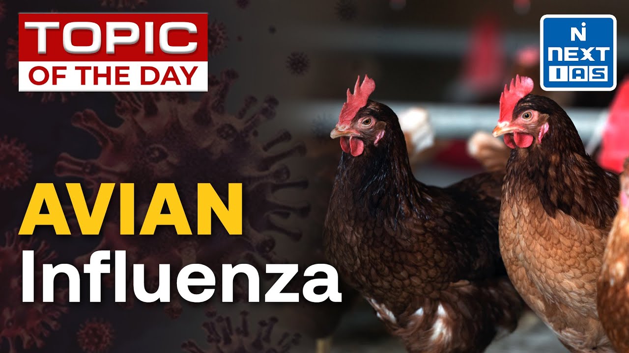 Bird-Flu (H5N1) Outbreak In The USA | What Is Avian Influenza? UPSC ...