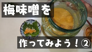 Ume-Miso part.2