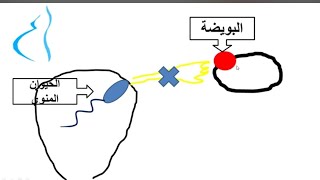 لماذا لا يحدث حمل رغم أن التبويض جيد كل شهر