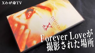 【ForeverLoveのPVが撮影された場所】「聖地巡礼の旅～大谷資料館～」