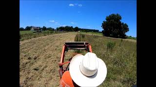 Mowing with the Kubota B7500 HST and Woods BrushBull 48\