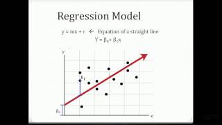 Bivariate Regressions