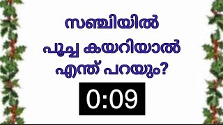 കുസൃതി ചോദ്യങ്ങൾ / malayalam funny questions | സഞ്ചിയിൽ പൂച്ച കയറിയാൽ എന്ത് പറയും ? | Ankitha