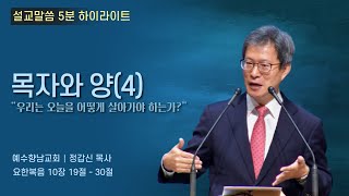 [5분 설교]20201115 목자와 양(4) - 정갑신 목사