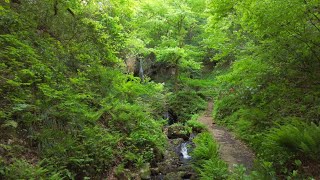 Niigata, Japan. Mysterious waterfalls in the mountains and historic shrines.【4K】22/05/07