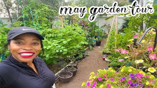 May Garden Update 2023 | Garden Tour | Small Space Gardening
