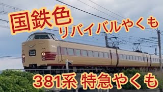 【国鉄色やくも】山陽線 庭瀬〜中庄 381系特急やくもを撮影！2024/06/02(日曜日)