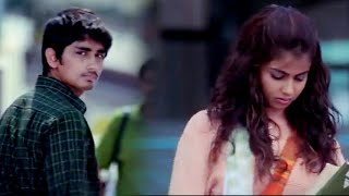 Siddharth | Genelia Cute Love Scene | Bommarillu Movie Scenes | Icon Videos