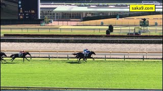 【現地】アンダープロット 3歳上1勝C