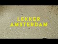 lekker amsterdam bike belt drive commuter