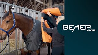 Get to know the BEMER Horse Set - in just 30 seconds | BEMER | EN