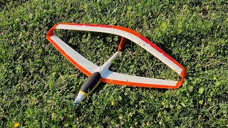 Mini X 100 INFINITY WING 3D Printed plane