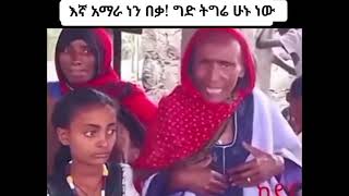 የራያ እናቶች  ሰቆቃ