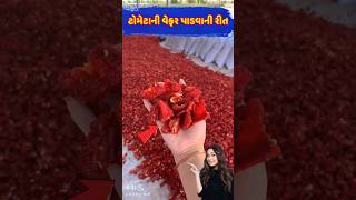 ટામેટાની વેફર બનાવવાની રીત#How to make tomato wafers#shortviral #shortvideo #youtubeshorts