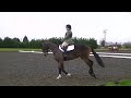 harriet turton u0026 purdey keysoe arena ode dressage