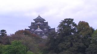 Exploring Okayama Korakuen Japanese Garden in Spring 2021 with Dr. Darryl Macer, President, AUSN.