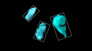 Bounding Box Statistical Variable