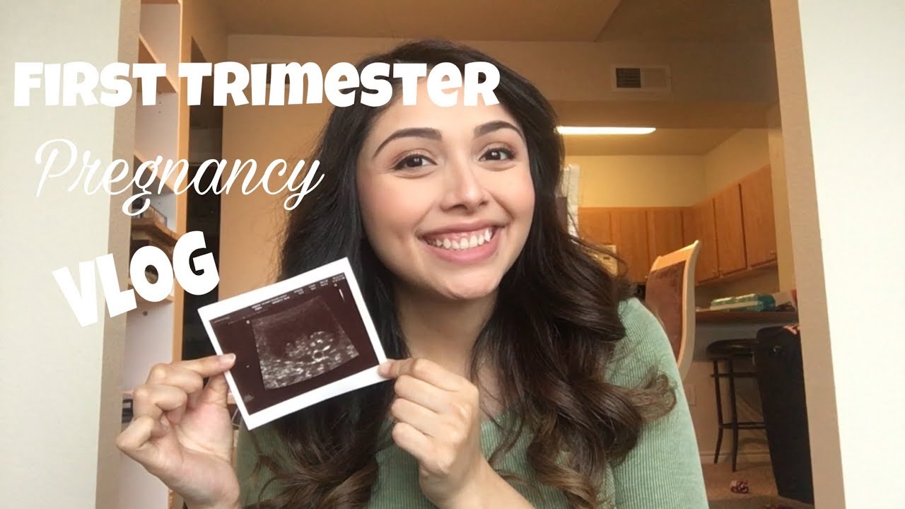 Pregnancy Vlog First Trimester Youtube