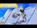 🐻‍❄️ BERNARD  | Collection 31 | Full Episodes | VIDEOS and CARTOONS FOR KIDS