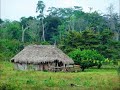 flor silvestre mi casita de paja 1964