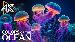 The Ocean 4K - Captivating Moments with Jellyfish and Fish in the Ocean - Relaxa