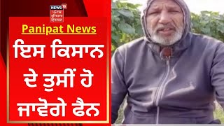 Panipat News : ਇਸ ਕਿਸਾਨ ਦੇ ਤੁਸੀਂ ਹੋ ਜਾਵੋਗੇ ਫੈਨ | Punjab News | News18 Punjab