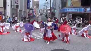 椿〜栄の国祭り2014