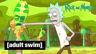 Adult Swim VF - Rick et Morty 🇫🇷 | Les Ricks sont tombés sur la tête [extrait S02E06]