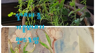 시골작은집일상  vlog /a small house in the country/겨울보내기/실내파종/파셀리안/종이꽃/한옥에서펜드로잉수업/기다리는봄