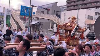 20230505 小田原　松原神社例大祭　千度小路龍宮神社　本丸　白菊