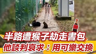 學生半路遭「猴子劫走書包」！他談判5分鐘求：用可樂交換｜@setn