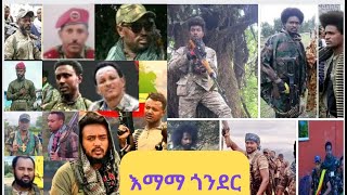 ጎንደር የአማራ ህዝብ አንድነት ዓርማ፣ የኢትዮጵያ ትንሳኤ ብስራት መሆኗን ደጋግማ እያስመሰከረች ቀጥላለች።  የአማራ ፋኖ በጎንደር እና የአማራ ፋኖ በጎንደር