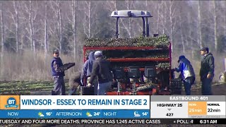 The impact of Windsor-Essex remaining in Stage 2