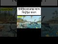 টাইটানোবোয়া সাপ বিলুপ্তির কারণ ইতিহাস fact bangla