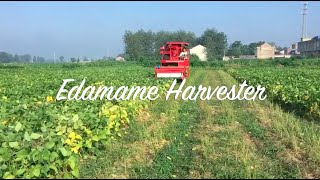 edamame harvester  green bean harvest board bean 毛豆采收机