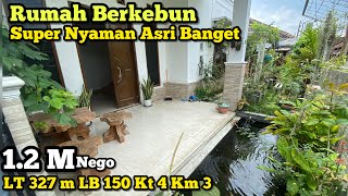 Cocok Banget Nich tuk Pecinta TANAMAN Bisa berkebun di rumah dekat ke Kota Jogja