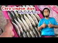 Cara terbaik simpan ikan // Mencari solusi untuk simpan ikan dalam peti ais