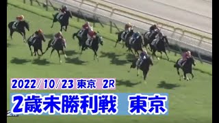 2022/10/23【パドック返し馬つき】東京2R　2歳未勝利戦　　☆クルゼイロドスル　ファインニードル　＃レースは１０分ころから