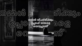 വാപ്പ സ്വർഗ്ഗത്തിന്റെ കവാടം #speech#/@Ayshusdreams