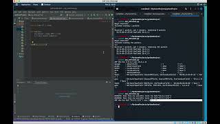 ARP Scanning Using Scapy with Python