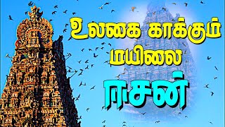 கபாலீஸ்வரர் திருக்கோயில் முழு வரலாறு | Kapaleeswarar Temple  | நடை திறந்து | Aadhan Aanmeegam