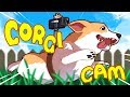 Jet's Corgi Cam