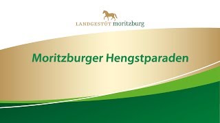 Trailer Moritzburger Hengstparaden